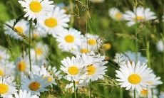 2022年运势八字 八字流年2022年运势分析