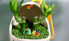 7种能开运、旺财的花卉