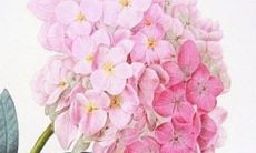 2023年有牢狱之灾的属相 三思后行等待转运