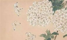 2023年属蛇终于转运了 事业上升财运亨通