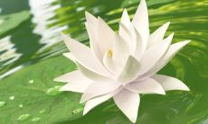 有道缘的人的八字特征 适合修道的命格