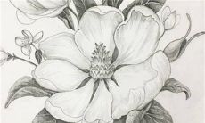 2023年兔年最吉利的四大属相 大吉大利诸事顺利