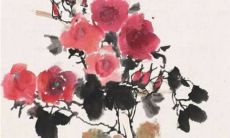 2023年兔本命年的大忌 保重身体事业为重