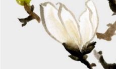 2022年12月中属马人感情运势分析 运势下滑佩戴幸运物