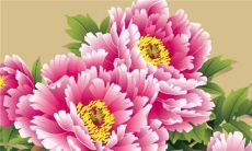 属猴2023年有三喜 摆脱单身大富大贵