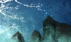 身宫命宫胎元算命一绝 命宫天干查法