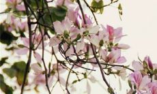 2022年12月生肖羊恋爱运势打几分 六合生肖甜甜蜜蜜