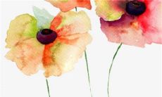 22年公历12月属相猴感情运势如何 月老牵绳爱情和睦