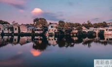 鼠和鼠相配婚姻如何 两个老鼠婚配好吗