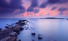 汤雄武姓名评分87分