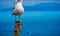 门窗在北床头朝哪个方向最合适 床头朝北能量磁场稳定