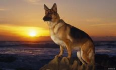 周玮瑜姓名评分66分