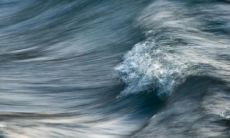 八字适合从事行业 八字看你能干什么