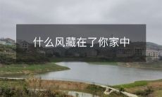 什么风藏在了你家中