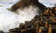 岑咏红姓名评分75分