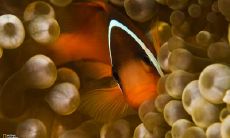 董延轩姓名评分82分