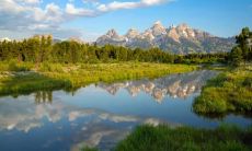 霍露桦姓名评分81分