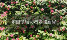 家里茅厕切勿紧临厨房