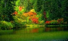 华黎闽姓名评分74分