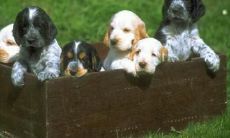 姜智超姓名评分101分