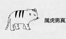 属虎男真正爱的女人是谁