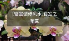 [寝室装修风水]寝室之布置