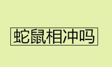 蛇鼠相冲吗