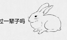 男鼠女兔能过一辈子吗