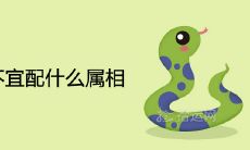 属蛇最不宜配什么属相 一辈子的克星是谁