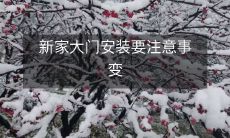 新家大门安装要注意事变