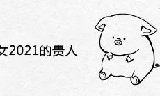 属猪女2021的贵人