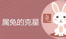 属兔的克星是什么属相不宜婚配