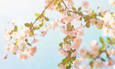 2021牛年小女孩洋气的乳名 女宝宝超可爱的小名来了