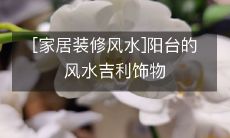 [家居装修风水]阳台的风水吉利饰物