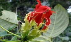 生肖兔2022的运程如何 虎年可以步步高升