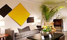 植物花草鸿文用 居家风水巧搭配