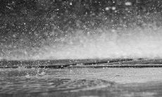 2022年必喜获良缘的生肖女 属虎女必定会结婚