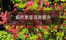 都市家居选摘要决