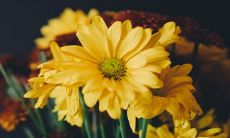 2022年能考上公务员的生肖 属龙人学业运不错