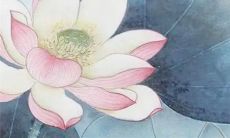 2023年1月15日出生女宝宝五行缺什么,八字高分起名字