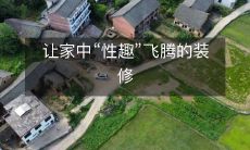 让家中“性趣”飞腾的装修