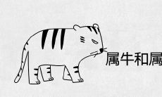属牛和属虎的婚姻相配吗