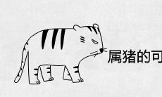 属猪的可以压得住属虎的吗 在一起结婚好不好