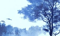 2022生肖兔的运势女 对待工作要认真踏实