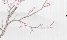 白露节气吃什么食物 白露鳗鲡霜降蟹