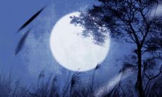 2022必定脱单的生肖马男 婚姻幸福美满