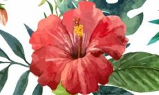 2022年冬至夜是哪一天 冬至之后的气候如何