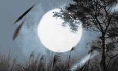 2022年生肖兔女的全年运势 没什么好的发展