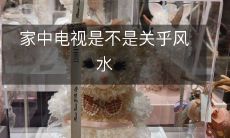 家中电视是不是关乎风水