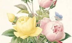 2022年冬至是几月几号 冬至具体时间是几点